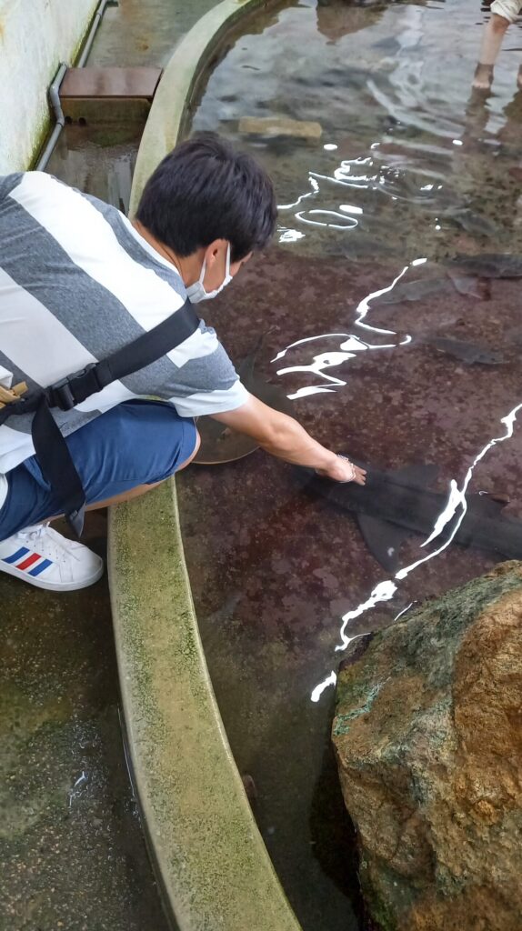 タッチングプール