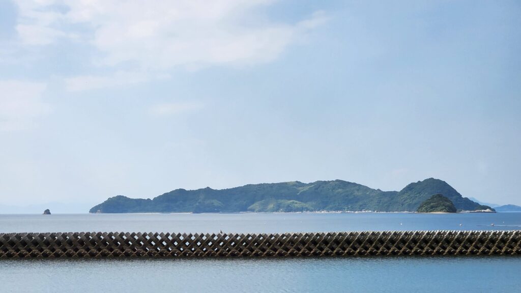 海