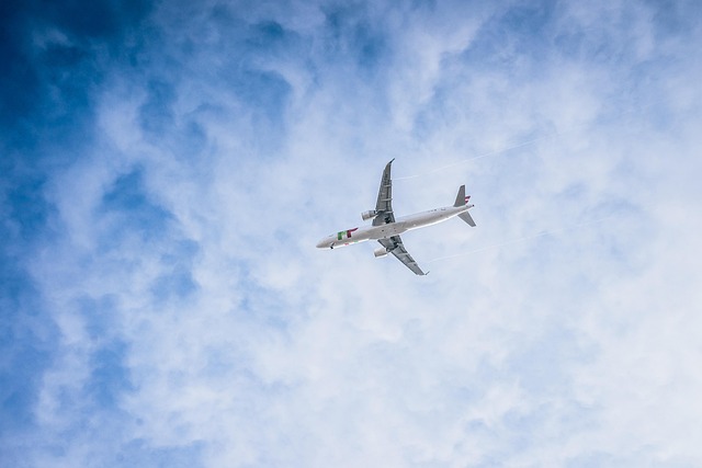 飛行機